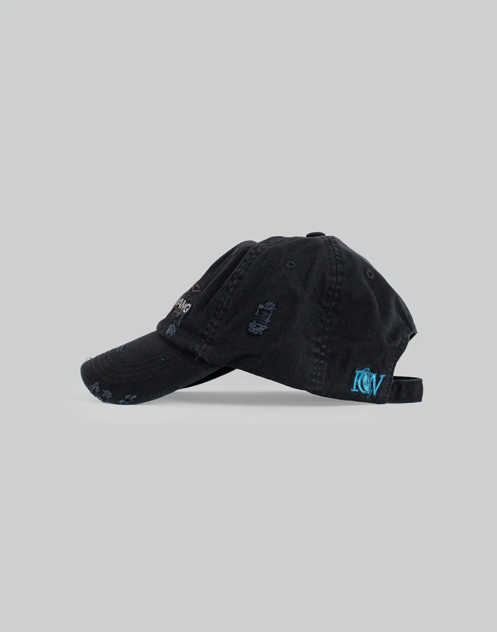 FENG CHEN WANG - Creature Embroidery Cap - 082plus